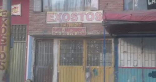 EXOTOS BOGOTÁ EXOTOS BOGOTÁ